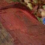 Arte Da Capa Da Mat Ria Do Site 1000 X 750 Px 2026 03 15t105028 131