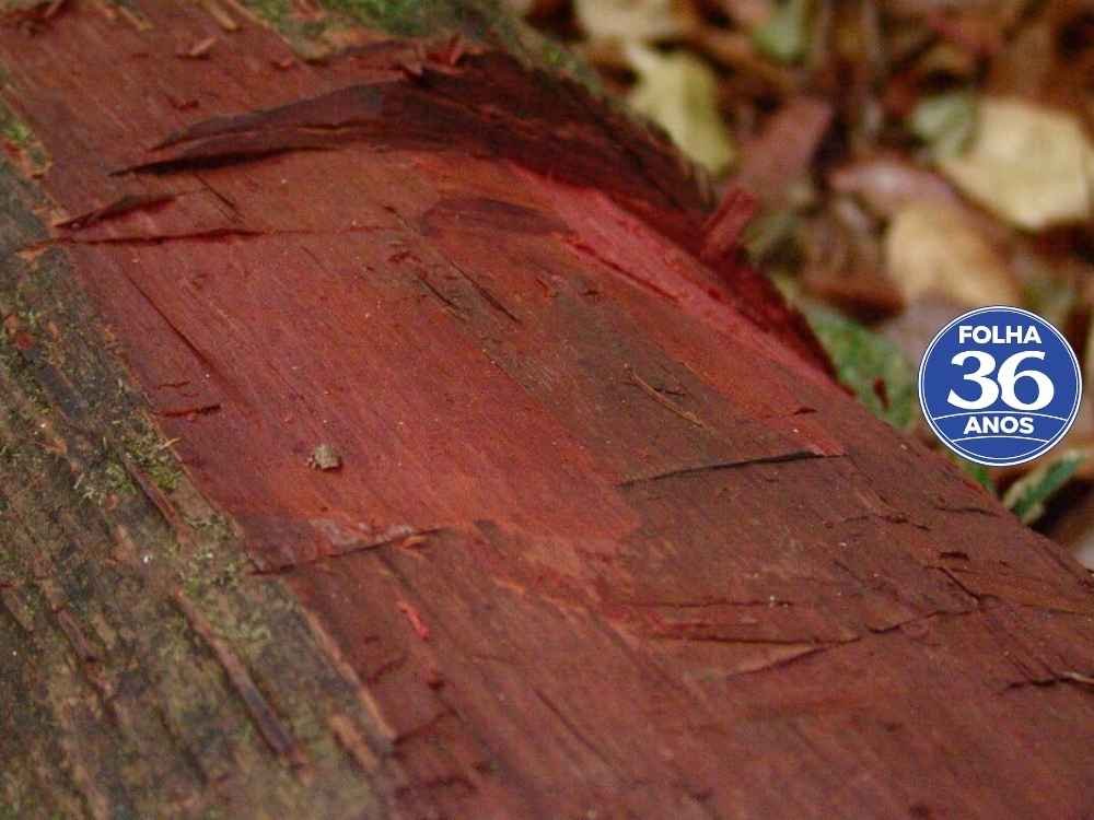 Arte Da Capa Da Mat Ria Do Site 1000 X 750 Px 2026 03 15t105028 131