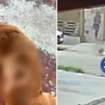 Arte Da Capa Da Mat Ria Do Site 1000 X 750 Px 2026 03 16t114529 513