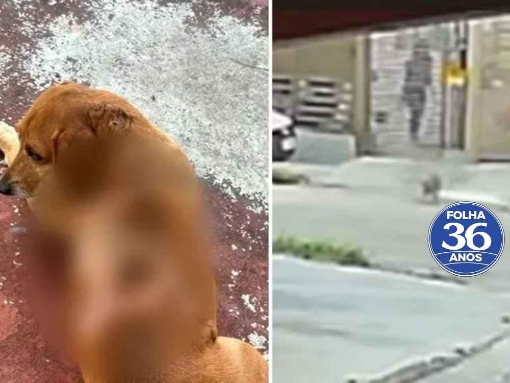 Arte Da Capa Da Mat Ria Do Site 1000 X 750 Px 2026 03 16t114529 513