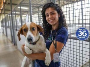 Arte Da Capa Da Mat Ria Do Site 1000 X 750 Px 2026 03 17t132351 512