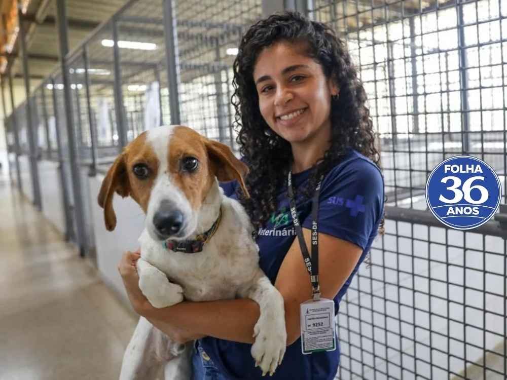 Arte Da Capa Da Mat Ria Do Site 1000 X 750 Px 2026 03 17t132351 512