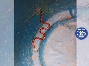 Arte Da Capa Da Mat Ria Do Site 1000 X 750 Px 2026 03 18t165416 755