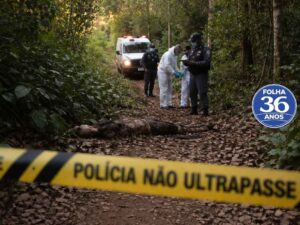 Arte Da Capa Da Mat Ria Do Site 1000 X 750 Px 7 1