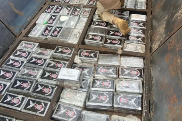 Cocaina Da Gavioes Da Fiel