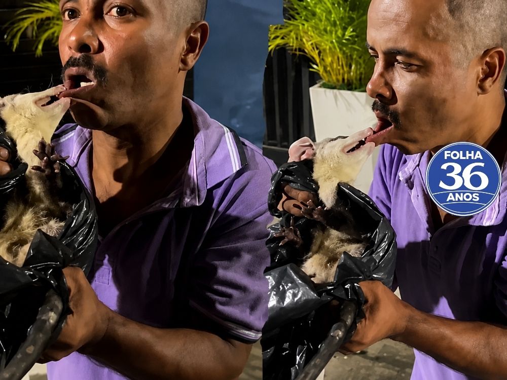 Arte Da Capa Da Mat Ria Do Site 1000 X 750 Px 2026 05 08t091649 286