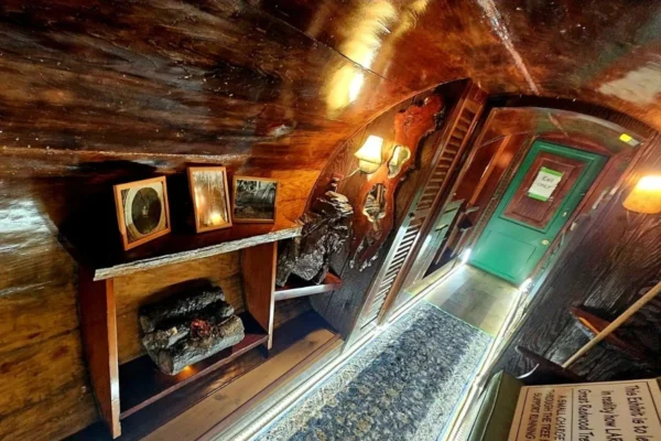 Arvore De 980 Anos Que Virou Cabana Pode Virar Atraaao Turastica 4