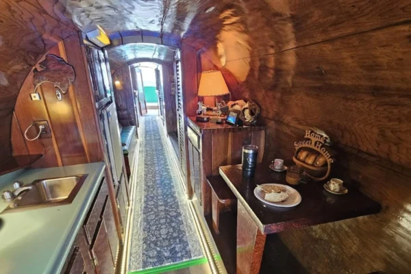 Arvore De 980 Anos Que Virou Cabana Pode Virar Atraaao Turastica 6
