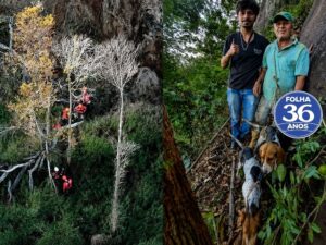 Arte Da Capa Da Mat Ria Do Site 1000 X 750 Px 2026 06 04t130953 046