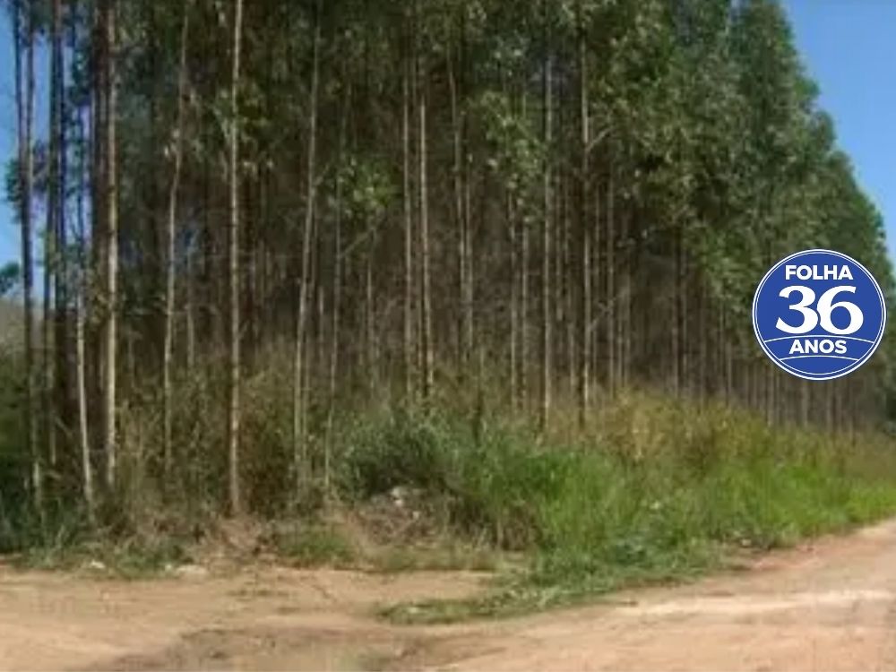 Arte Da Capa Da Mat Ria Do Site 1000 X 750 Px 2026 06 20t173041 230
