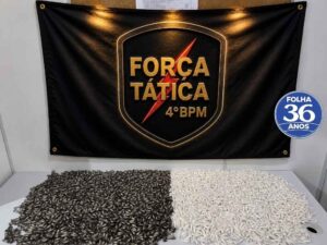 Arte Da Capa Da Mat Ria Do Site 1000 X 750 Px 2026 07 28t135144 046