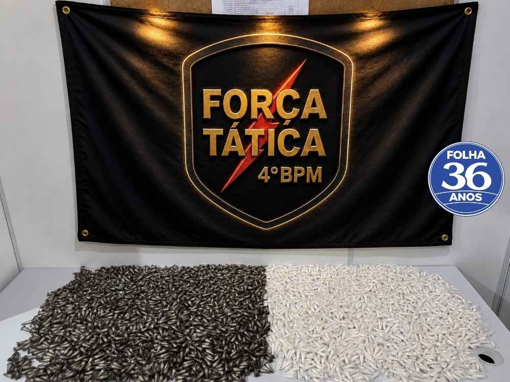 Arte Da Capa Da Mat Ria Do Site 1000 X 750 Px 2026 07 28t135144 046