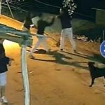 Arte Da Capa Da Mat Ria Do Site 1000 X 750 Px 2026 07 28t143903 708